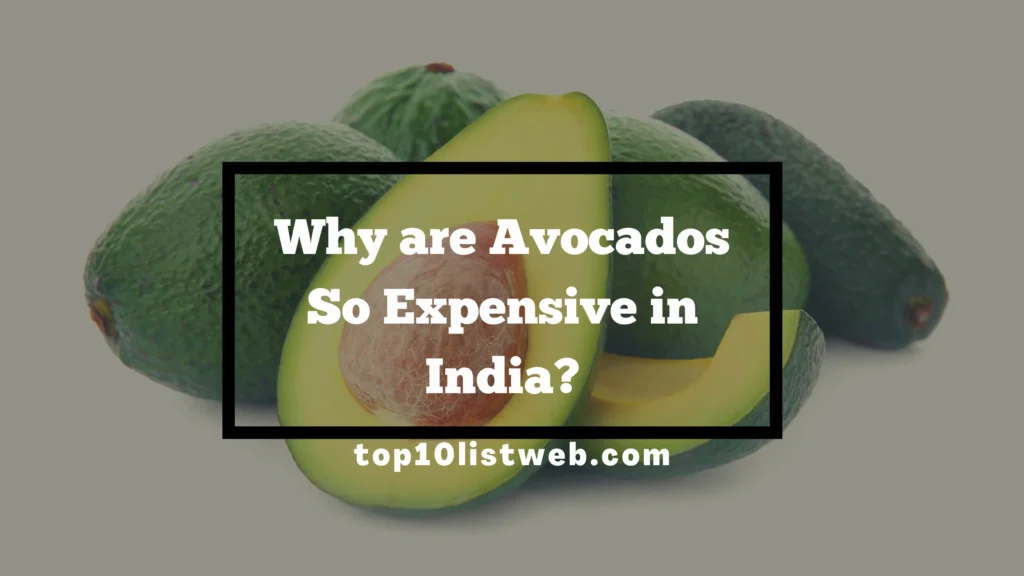 Why are Avocados So Expensive in India? [2023]